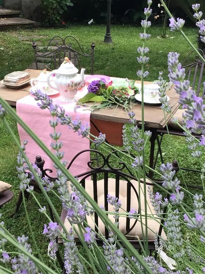 Les Renards Du Coeur Hotel Seravezza